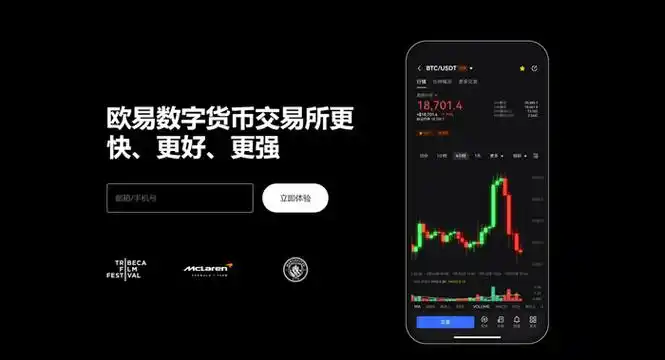 okpay钱包官网下载页面展示